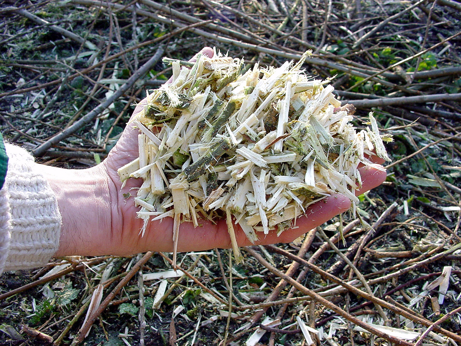 Utilisation du broyat de déchets verts en agriculture